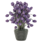 Bouquet Collection Plants Glass Pots_Set 4911 - Букеты - 3D модель