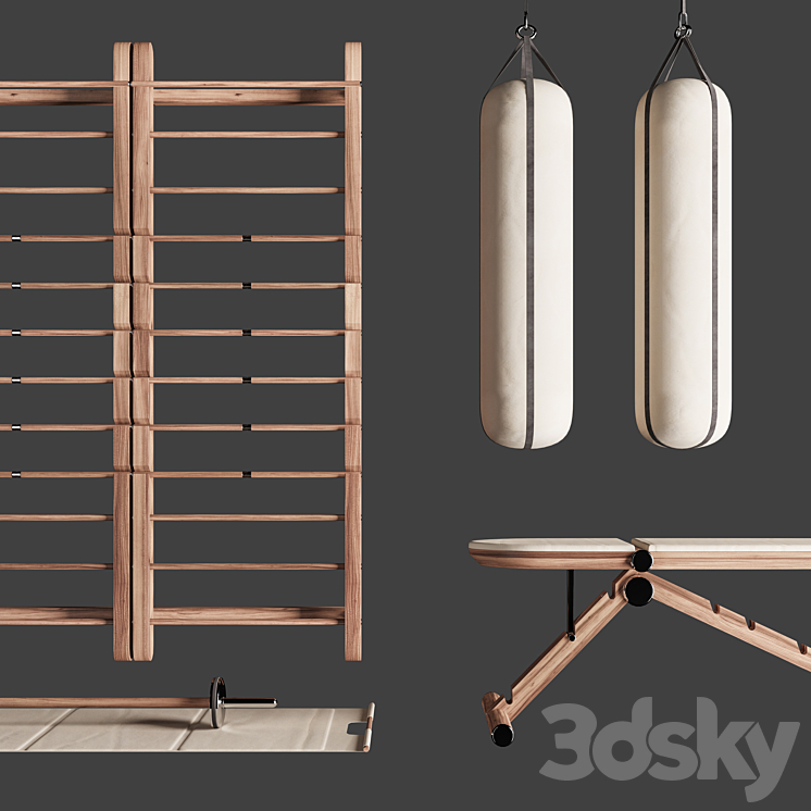 PENT. luxury fitness equipment Sports 3D model