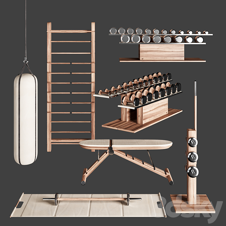 PENT. luxury fitness equipment Sports 3D model