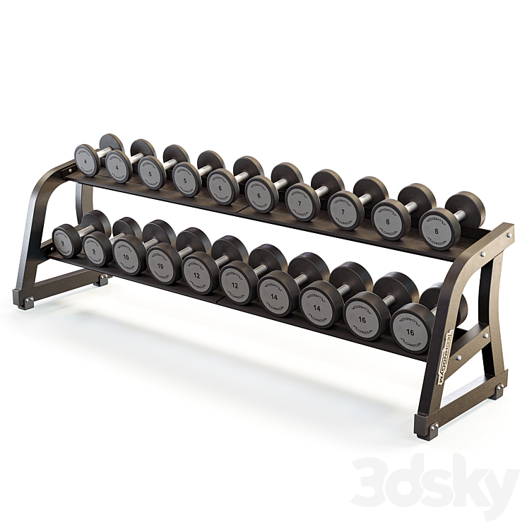 Technogym Two Tier Dumbbell Rack Sports 3D model