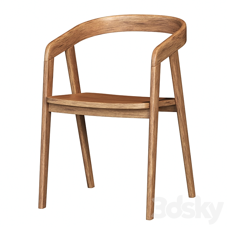 Lana Curved Back Dining Chair Chair 3D model