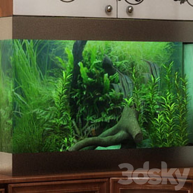 3d Models Other Decorative Objects Aquarium