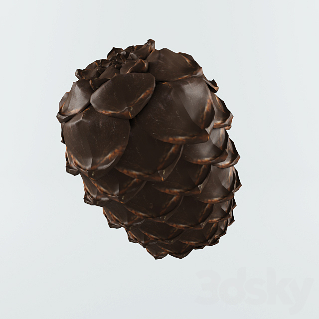 3d Models Miscellaneous Cedar Cone