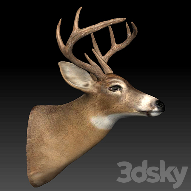 3d Models Miscellaneous Deer Head On His Chest