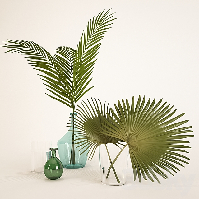 palm leaves in a vase Bouquet 3D Models