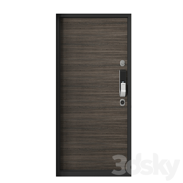 electric front door