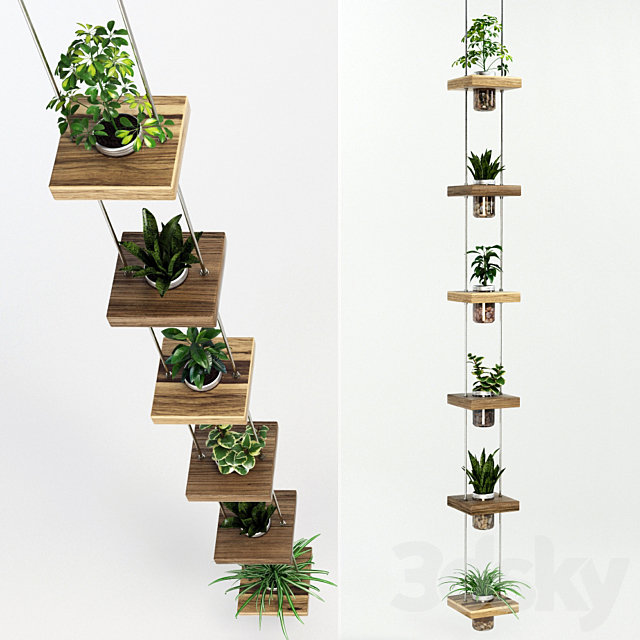 
                                                                                                            Hanging shelf with flowers
                                                    