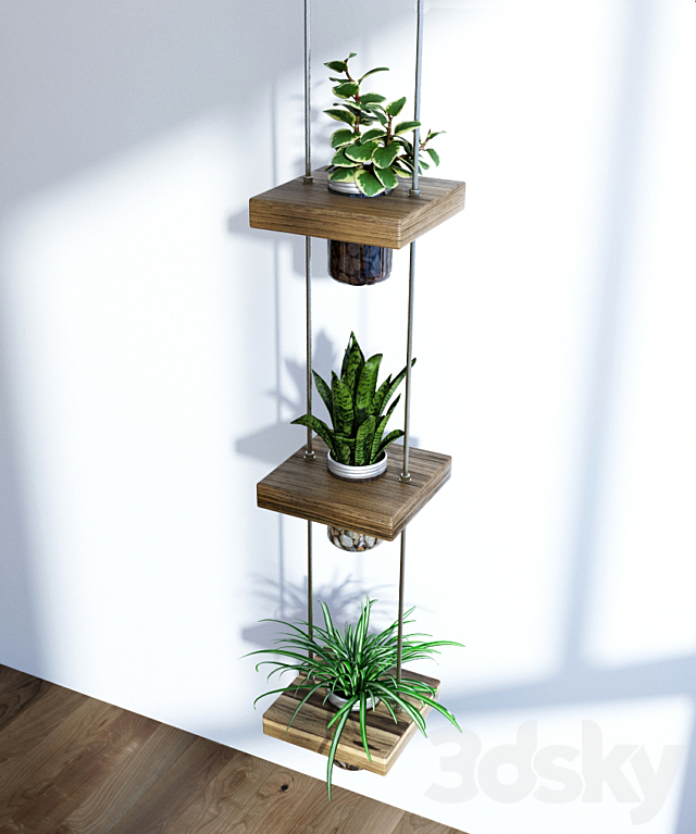 
                                                                                                            Hanging shelf with flowers
                                                    