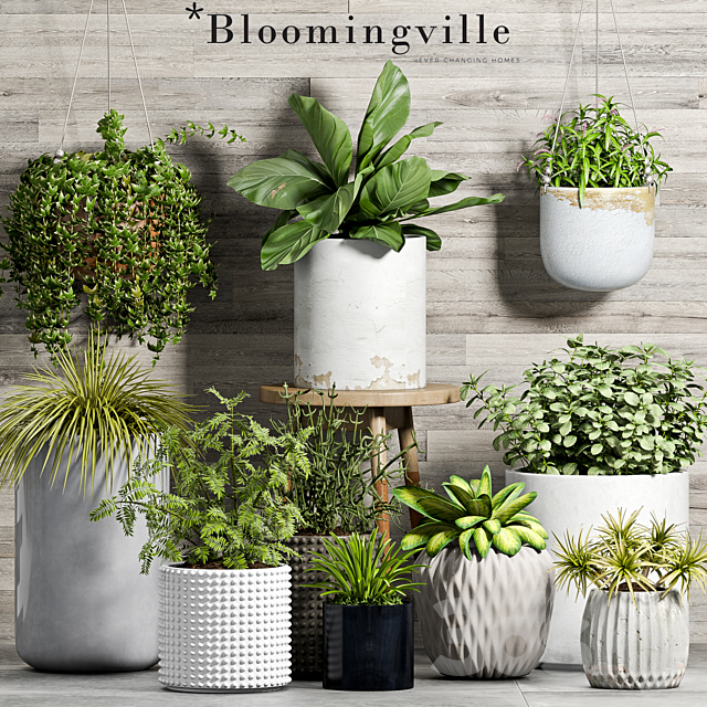 3d Models Indoor Plant Set 58