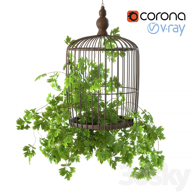 3d Models Indoor Plant Cell