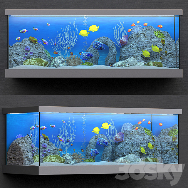 3dsky