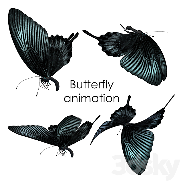 3d Models Creature Butterfly Animation