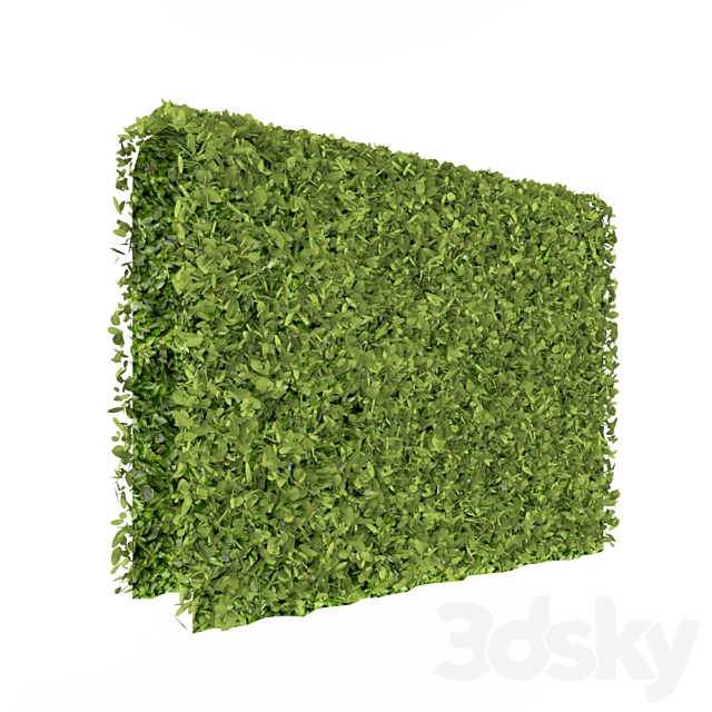 3d Models Bush Green Wall