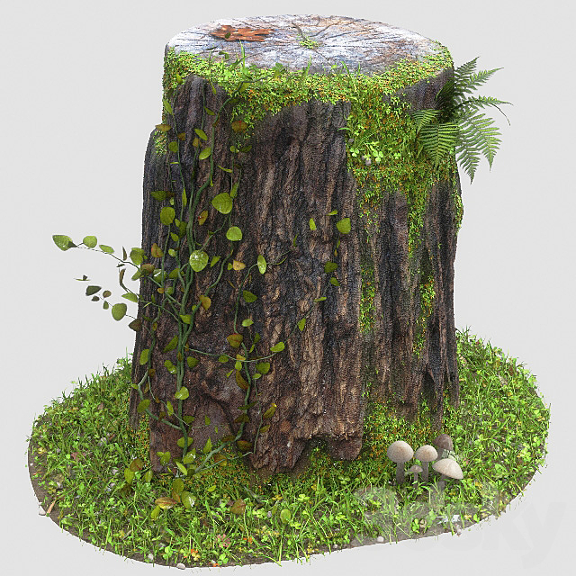 3d Models Tree Trunk Tree