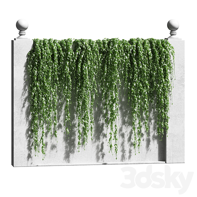 3d Models Outdoor Ivy For The Fence