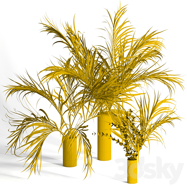 3d models: Bouquet - Dry palm leaves in vases