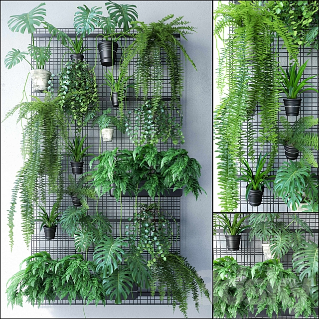 3d Models Fitowall Jc Wall Grid Plant Pot