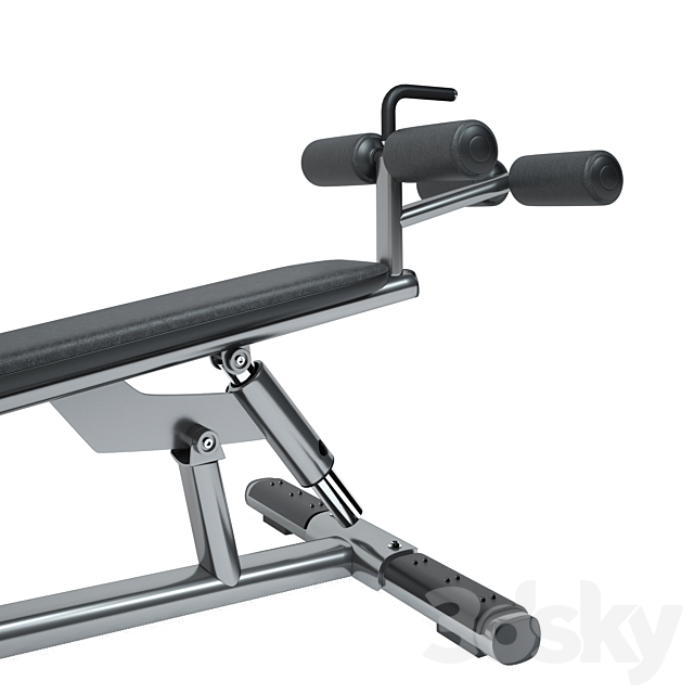 Life Fitness Signature Series Adjustable Abdominal Bench Sports 3D