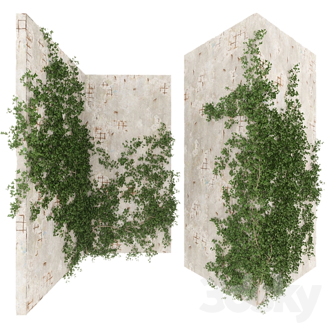 3d Models Fitowall Hedera Helix English Ivy On Corners