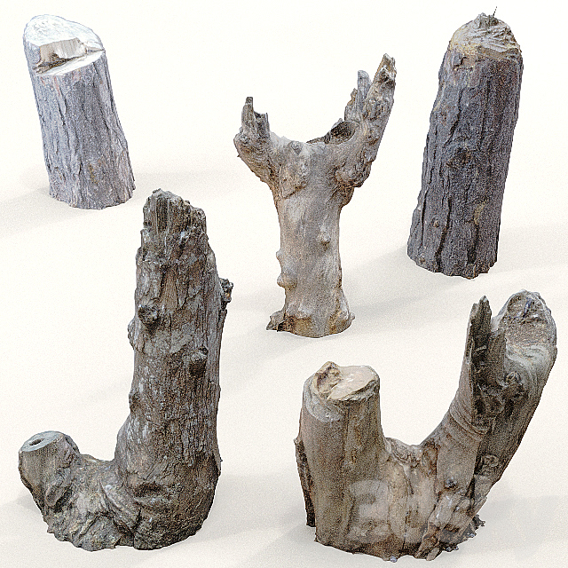 3d Models Tree Tree Trunks