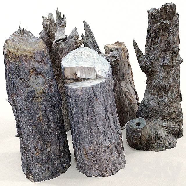 3d models Tree Tree trunks