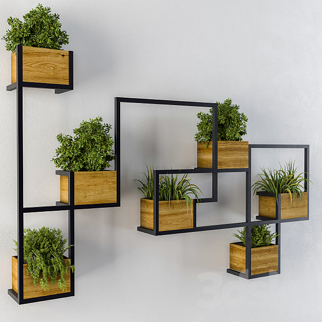3d Models Indoor Wall Decor Plants