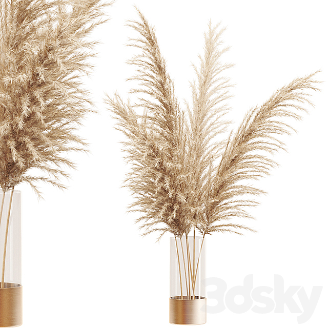 dried flower pampas grass in glass gold