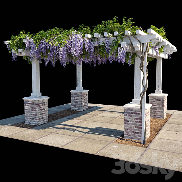 3d Models Other Pergola With Wisteria Pergola With Wisteria