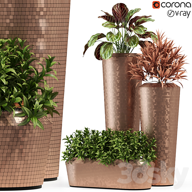 3d Models Indoor Plants Collection 274 Fleur Ami Pixel