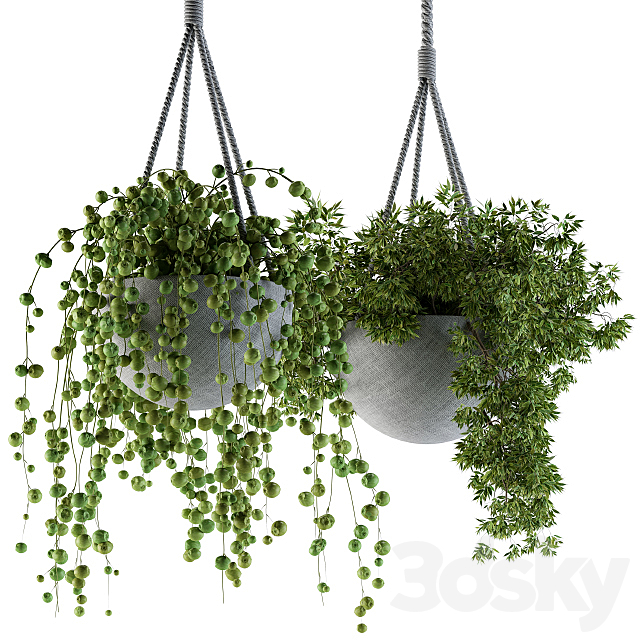 3d Models Indoor Hanging Pot With Rope 02