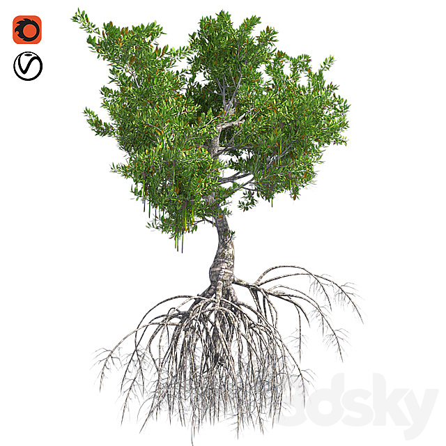 3d Models Tree Red Mango Tree