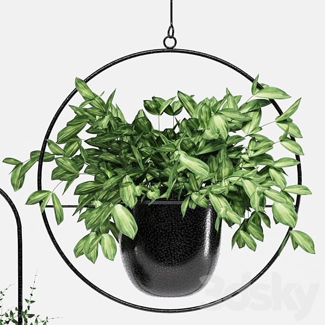 3d models Indoor Hanging Pots