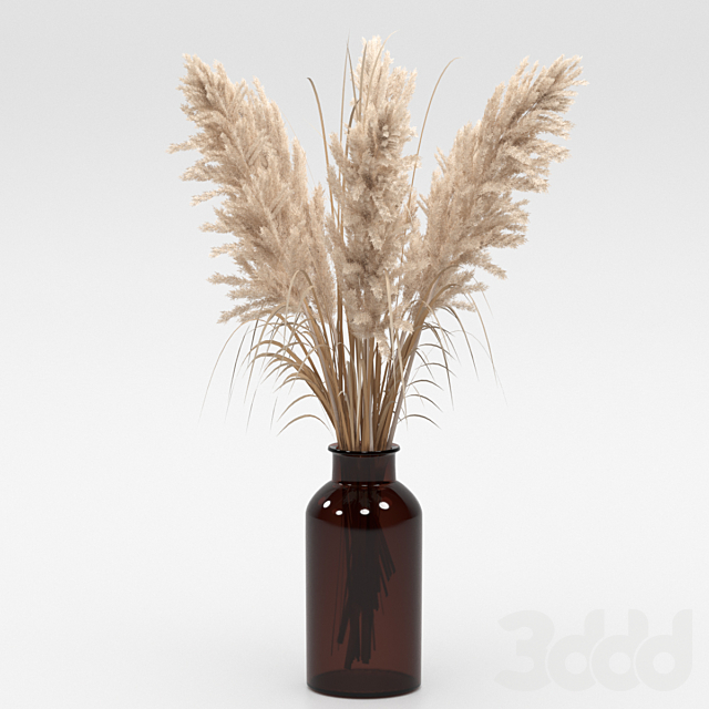 3d модели, Букет из пампасной травы, пампас, сухоцвет, сухостой, сухой, тра...