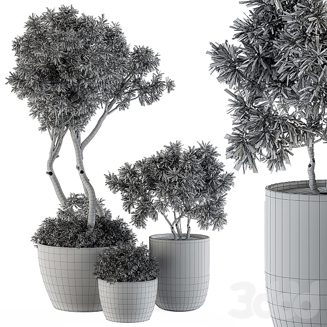 
                                                                                                            Outdoor Plants Tree in pot - Set 90
                                                    
